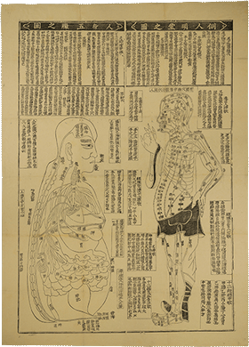 側人明堂之図・人身五臓之図