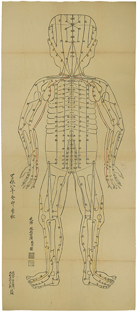 [背面経脈図]